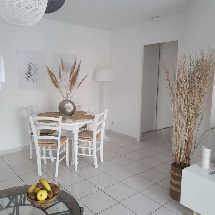 Appartement 63 M2, Tout Confort, Climatise. Saint-Cyprien  Luaran gambar